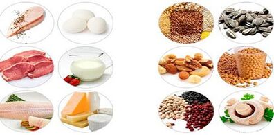 Essen Sie Proteinprodukte, um Gewicht zu verlieren